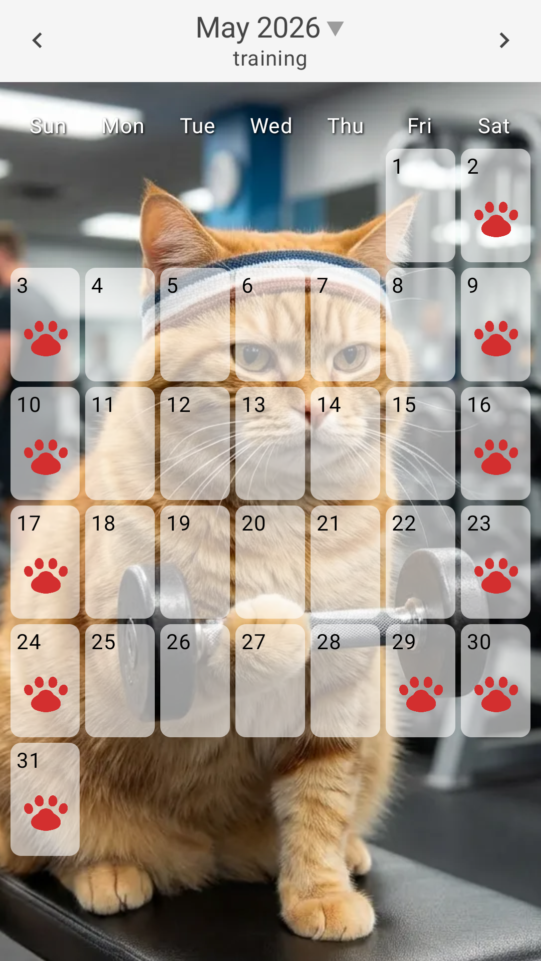 SimpleStamp Background GymCat